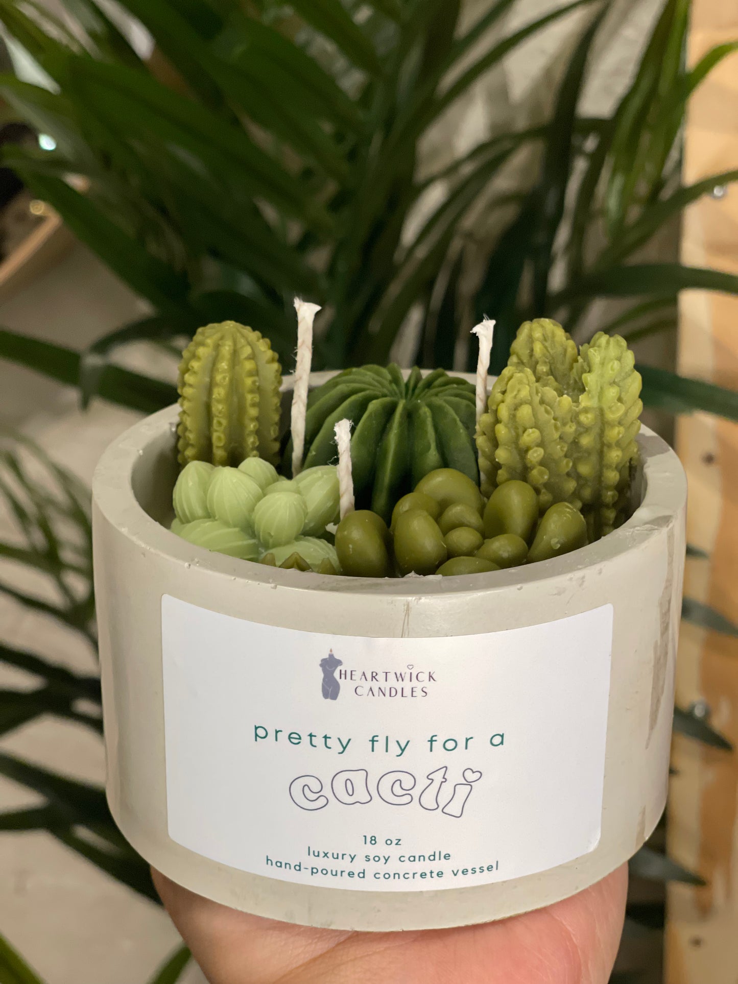 pretty fly like a cacti | 18 oz