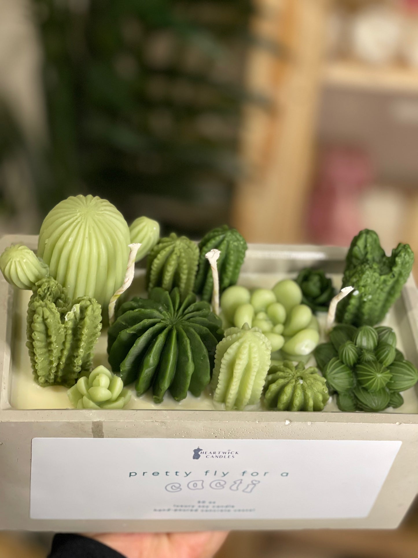 pretty fly like a cacti | 50 oz